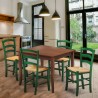 Rusty træ spisebords sæt: 4 farvet Paesana stole og 70 cm kvadratisk bord Valgfri