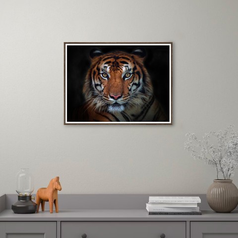 Print fotografi billede tiger dyr ramme 30x40cm Unika 0027