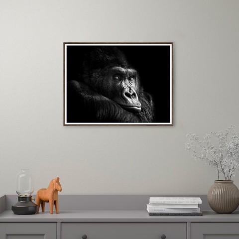 Gorilla fotografi print billed dyr ramme 30x40cm Unika 0026