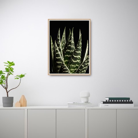 Unika 0060 kunst plakat 30x40 cm til hjemmet stuen køkkenet kaktus