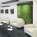 GreenBox Kit Lichene 4 diy mosvæg 60x40 cm præserveret plantevæg 