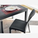 Sæt med 19 Virginia BICA rattan spisebordsstole plastik spisestole Model