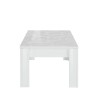 Reef Prisma blank hvid lille sofabord træ 65x122 cm rektangulær stue Udvalg
