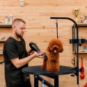 Beagle rund elektrisk højdejusterbar trimmebord hund med galge hylde På Tilbud