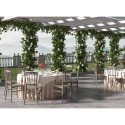 Klassisk design stol til udendørs restauranter, bryllupper og ceremonier Divina Egenskaber