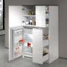 Sæt indbyggede køleskabsmøbler og lineært køkkenkrydderihylde Fist 