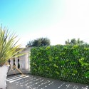 Kunstig hæk med udtrækkeligt gitter 2x1m realistiske planter Laurus På Tilbud