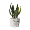 Bomboniera Sansevieria i dekorativ cementkrukke Simone Tilbud
