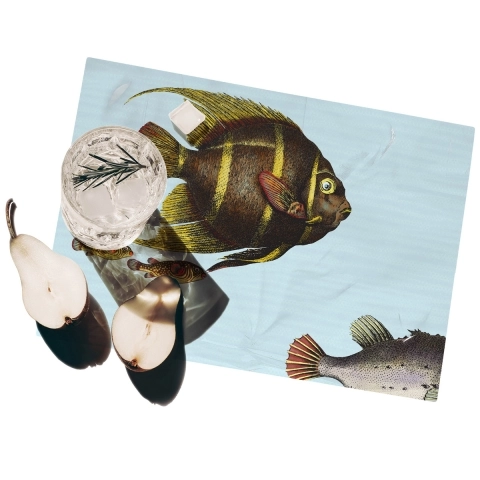 Sæt med 2 amerikanske bordmåtter med maritimt design 42x30cm Acquario Kampagne