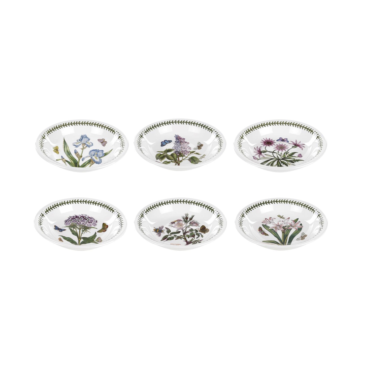 Sæt med 6 dybe pastatallerkener i porcelæn Portmeirion Botanic Garden Kampagne