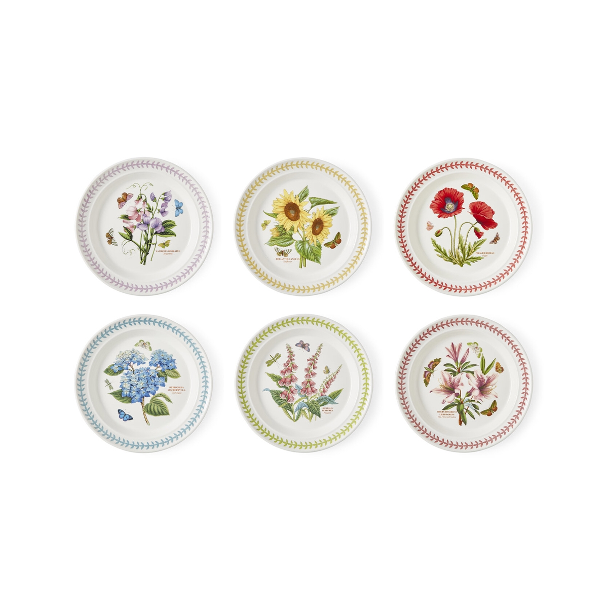 Sæt med 6 flade tallerkener 26,7 cm Portmeirion Botanic Garden Meadow Kampagne