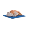 Mellemstort kølende underlag til kæledyr 50x40cm Puppy Udsalg