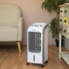 Smart Fresh bærbar 3-i-1 køler, ventilator og befugter På Tilbud
