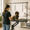 Griffon justerbart hydraulisk trimmebord til hunde 110 cm Udsalg