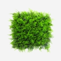 Kunstig plantevæg med bregner 50x50cm realistisk hæk til hus og have Pritus Kampagne