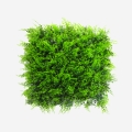 Kunstig plantevæg med bregner 50x50cm realistisk hæk til hus og have Pritus Kampagne