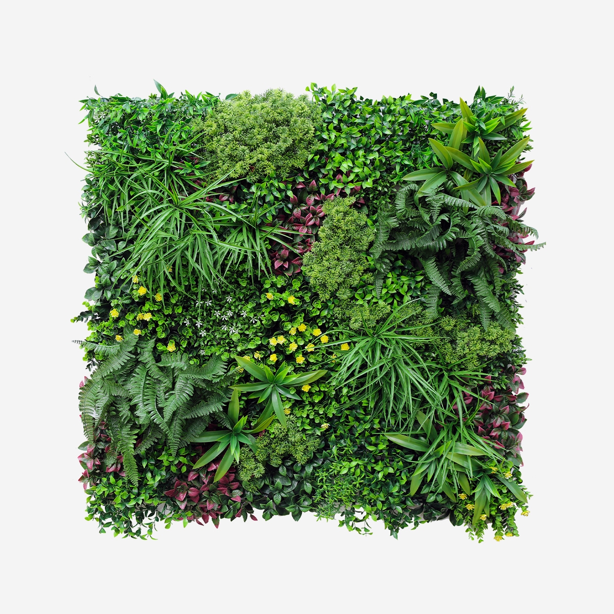 Kunstig plantevæg 100x100cm realistisk hæk til hus og have Ilex Kampagne
