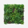 Kunstig plantevæg 100x100cm realistisk hæk til hus og have Ilex Kampagne