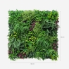 Kunstig plantevæg 100x100cm realistisk hæk til hus og have Ilex Rabatter