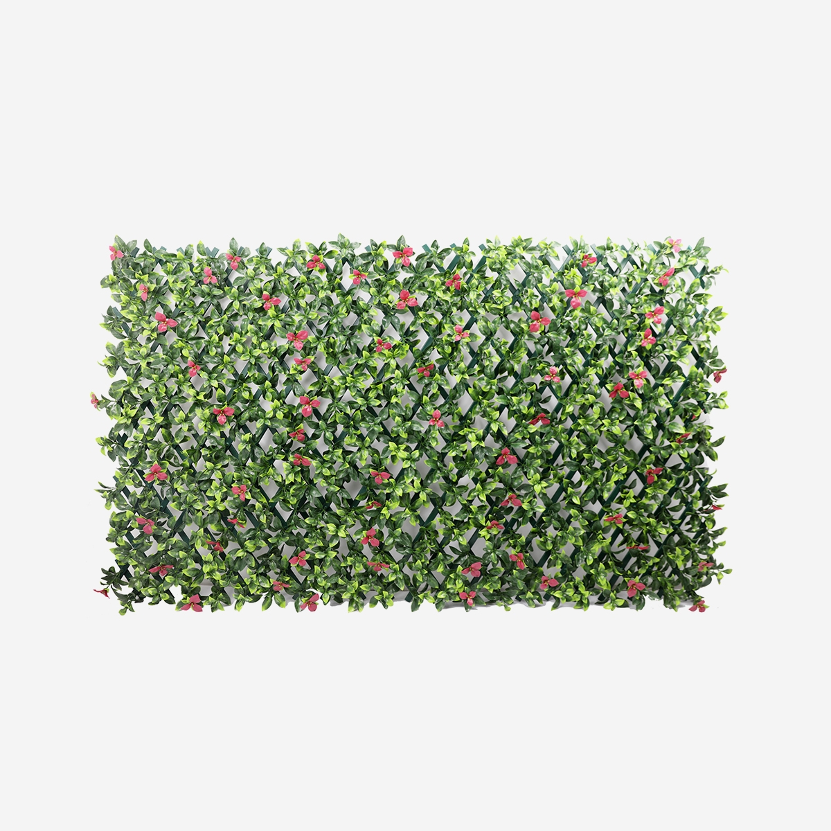 Kunstig hæk med udtrækkeligt gitter 200x100cm realistiske planter Salix Kampagne