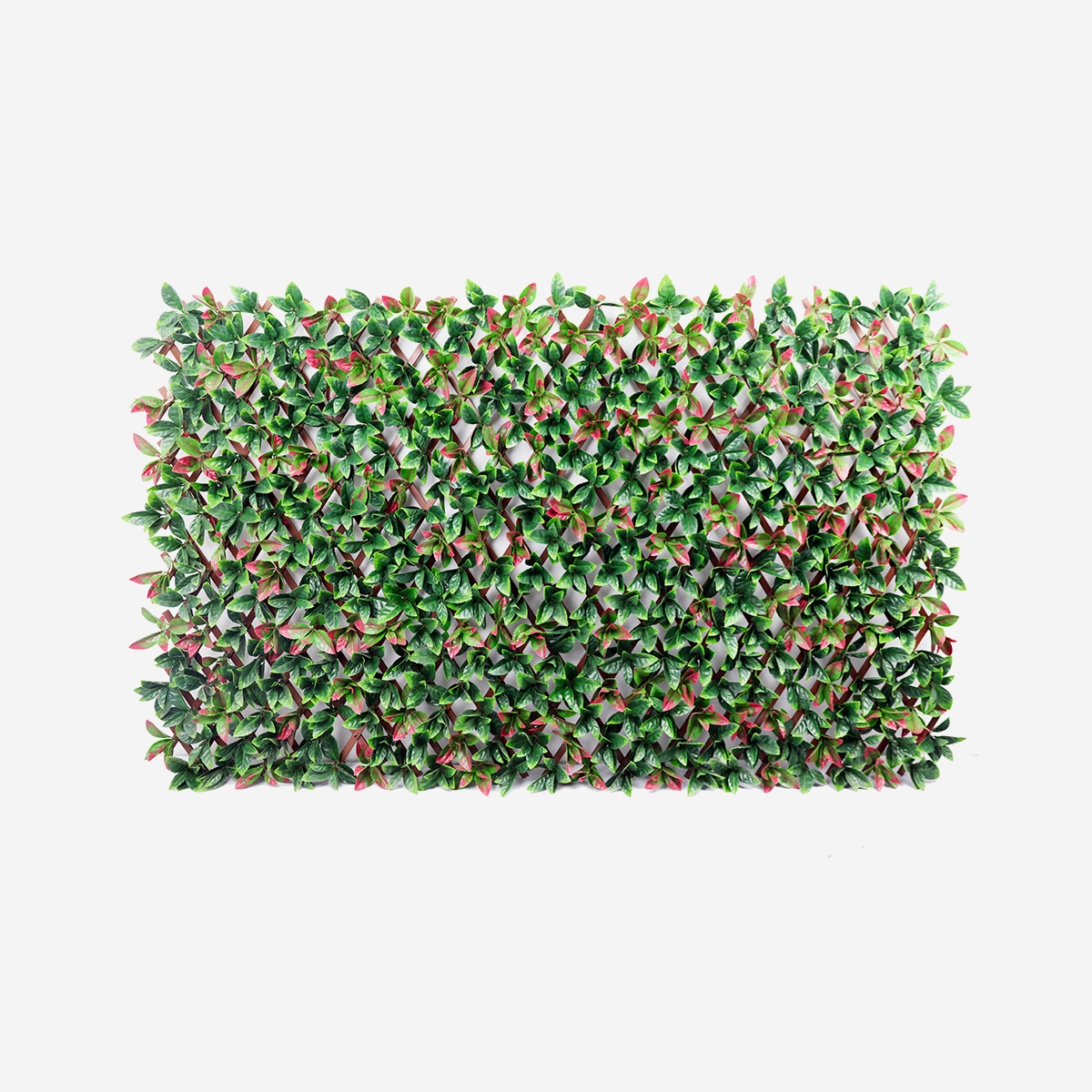 Kunstig hæk med udtrækkeligt gitter 200x100cm glansmispel plante Ivoss Kampagne