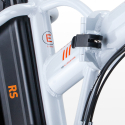 RKS RS-III elcykel sammenklappelig el cykel dame herre med lithium batteri Pris