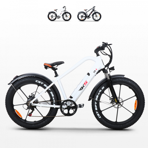 RKS XR6 elcykel 6 gear sports el cykel dame herre med lithium batteri