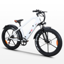 RKS XR6 elcykel 6 gear sports el cykel dame herre med lithium batteri Udvalg