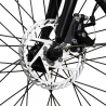 RKS GT 25 elcykel sammenklappelig el cykel dame herre med lithium batteri Valgfri