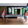 Backspin foldbar udendørs bordtennisbord med bordtennis bat bolde net På Tilbud