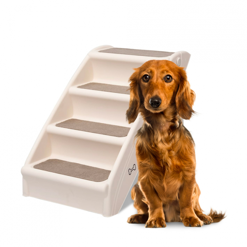 Diva sammenklappelig hundetrappe høj stige hunderampe trappe plast