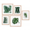 Frame Jungle sæt med 5 prints plakater med træ ramme 18x23 og 27x27 cm På Tilbud