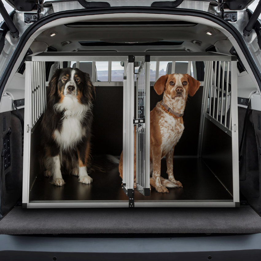 Skaut XL hundebur til bil hund transportkasse dobbeltdør