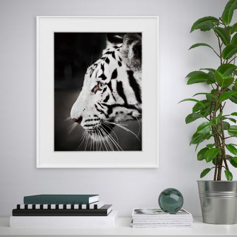 Variety Harimau print billede plakat 40x50 cm tiger motiv med ramme Kampagne