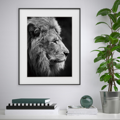 Variety Aslan print billede plakat 40x50 cm løve motiv med ramme