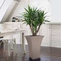 Gryde 60 cm høj firkantet planter planter have terrasse design Patio Rabatter