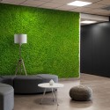 GreenBox Kit Lichene 4 diy mosvæg 60x40 cm præserveret plantevæg Kampagne