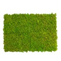 GreenBox Kit Lichene 4 diy mosvæg 60x40 cm præserveret plantevæg Udvalg