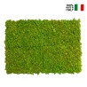 GreenBox Kit Lichene 4 diy mosvæg 60x40 cm præserveret plantevæg Tilbud