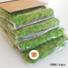 GreenBox Kit Lichene 4 diy mosvæg 60x40 cm præserveret plantevæg Mål