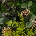 ForestMoss Persefone præserveret plantevæg dekoration indendørs ramme Pris
