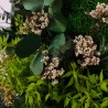 Plantemalerier stabiliserede blomster planter væg ForestMoss Persefone