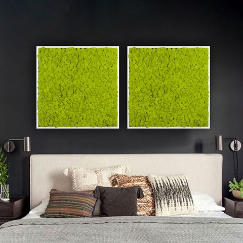 Lichene mosvæg præserveret plantevæg dekoration indendørs med ramme