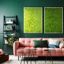 Lichene mosvæg præserveret plantevæg dekoration indendørs med ramme 